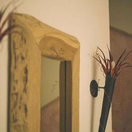 Villa-Senta-Apartment-4 Kühlungsborn Zewnętrze zdjęcie